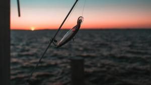 Fishing hook by the sunset