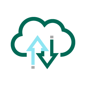 cloud-delivered-icon