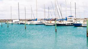 boats in a port