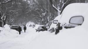 Scene of a street in blizzard-like conditions, showing the street and a line of several vehicles covered in snow